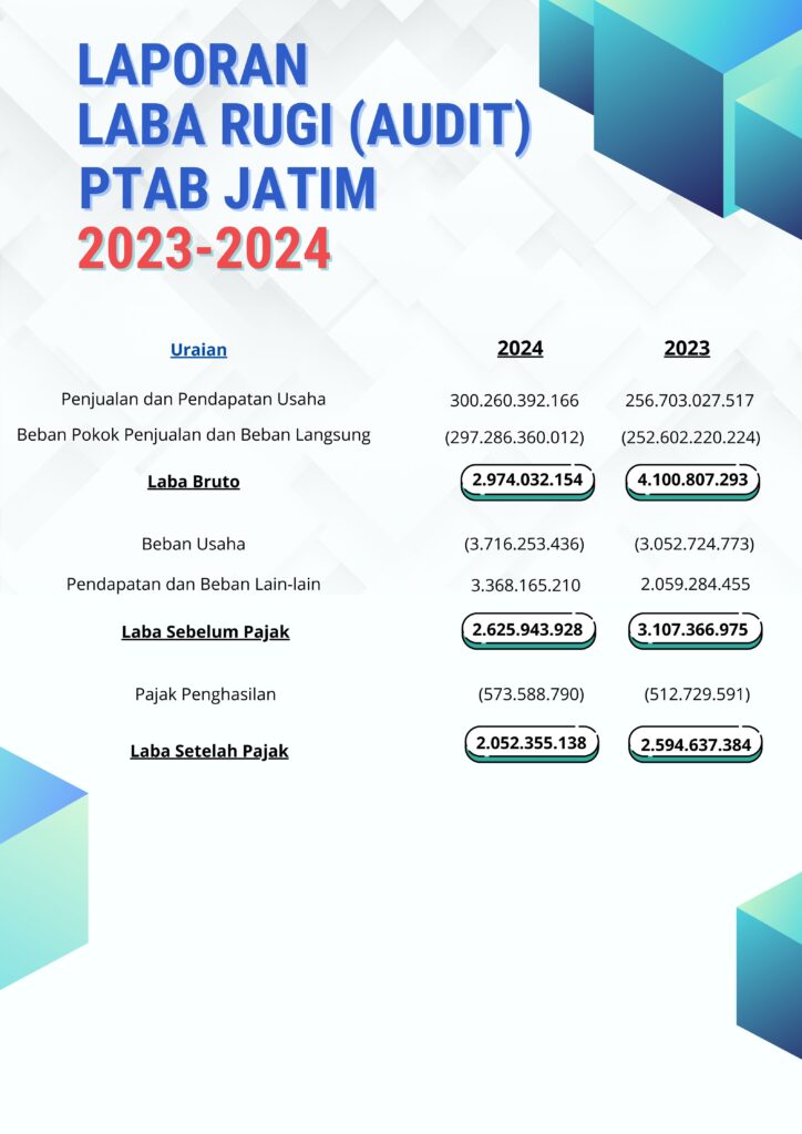 Laporan Auditor 202501